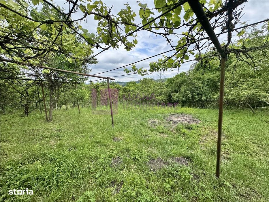 Casa individuala de vanzare in Nucet | Rosia | teren 1526 mp | livada,