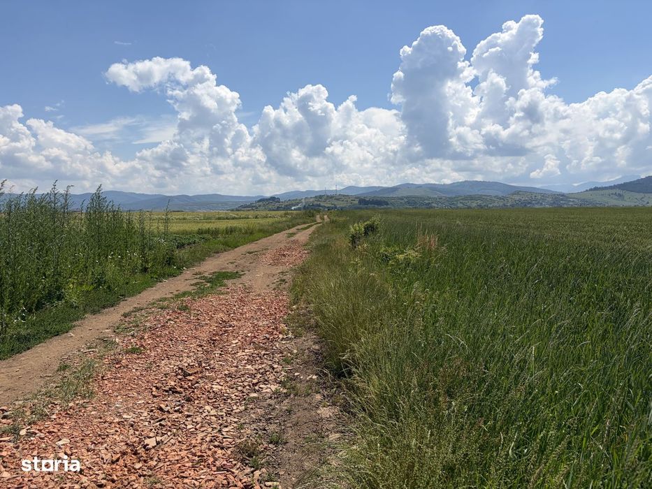 Teren extravilan de vanzare - 4300 mp - Tarlungeni, Brasov
