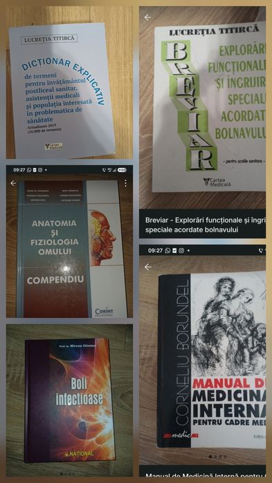 Manuale scoli postliceale