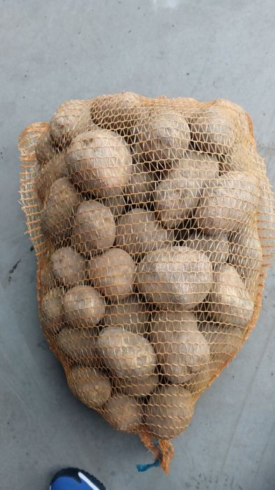 Cartofi de vânzare .Clasa 1