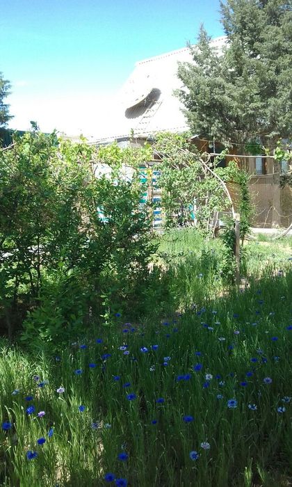 Продам дачу с/о Металлург,ул.Шарк , 3