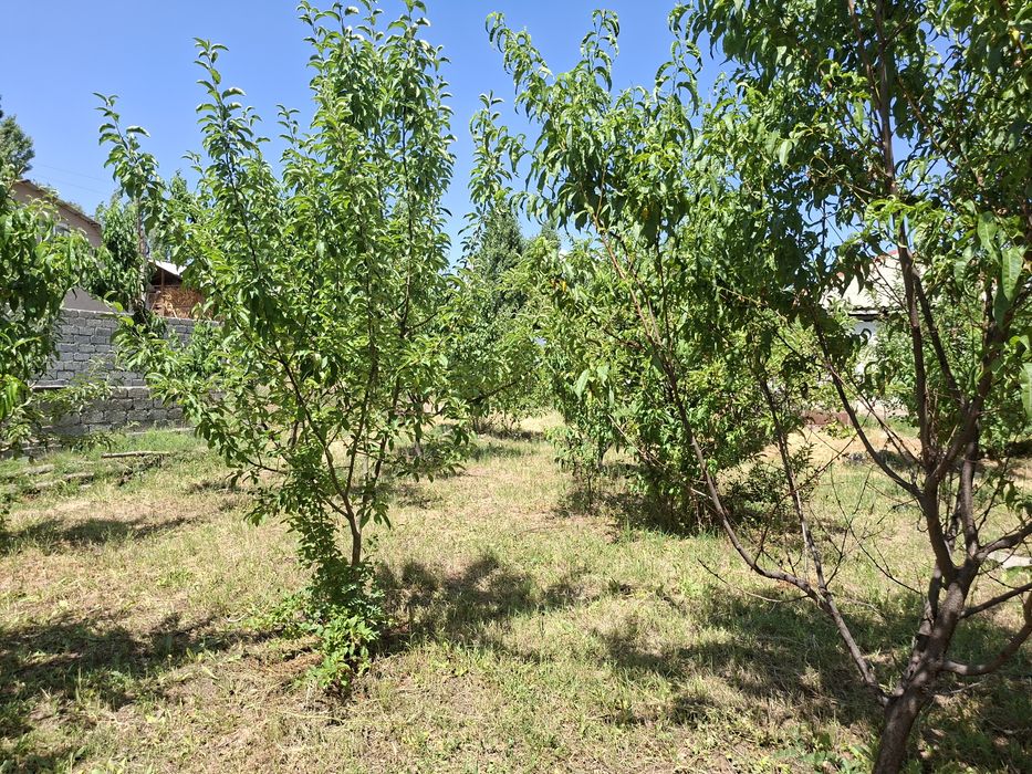 Хавли сотилади 6 сотиқ