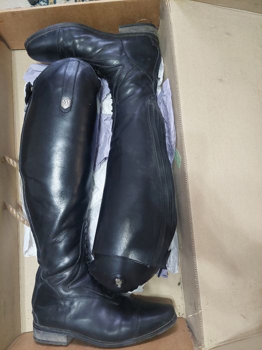 Cizmă de echitație