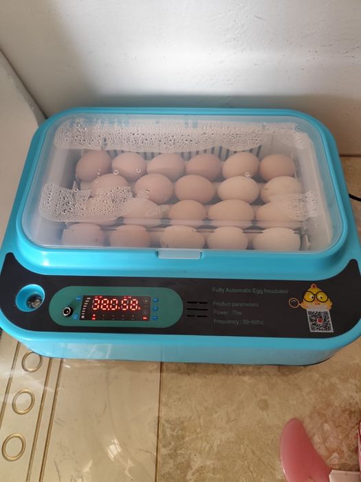 Инкубатор инкубатор