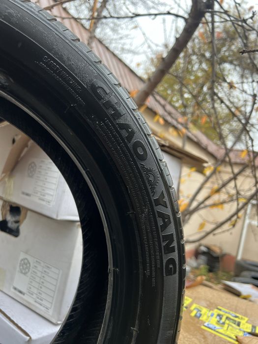 R16 Sigal Baloni yangi
