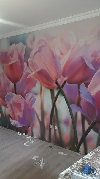 клею обои покрасим