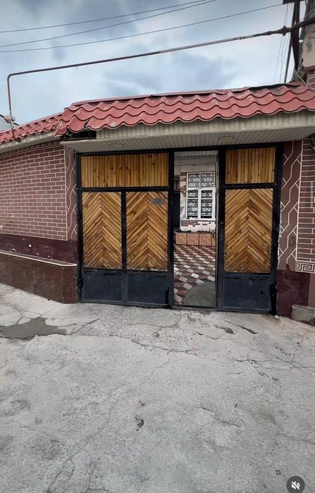 Olmazor tumani orientir Grant nur gastinitsa
