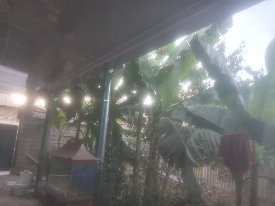 7 Xonali Uy 
6 Sotig owhona alohida