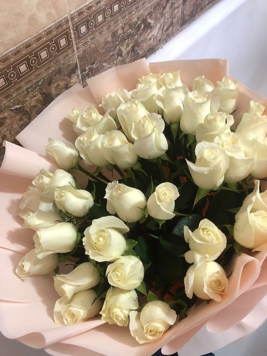 Роза 41шт свежый