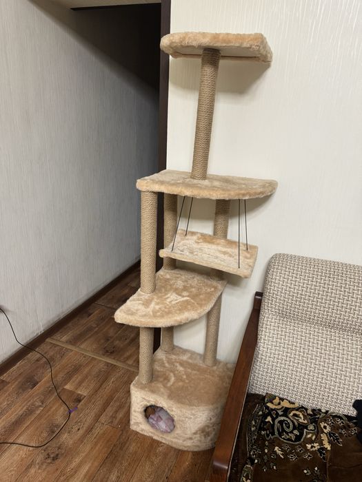 Когтеточка  и домик для кошек