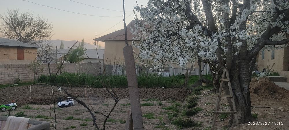 Уй сотилади кизил су Шарвок томанда 10 сотох