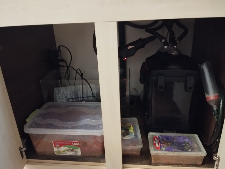 Продам аквариум со всем содержимым