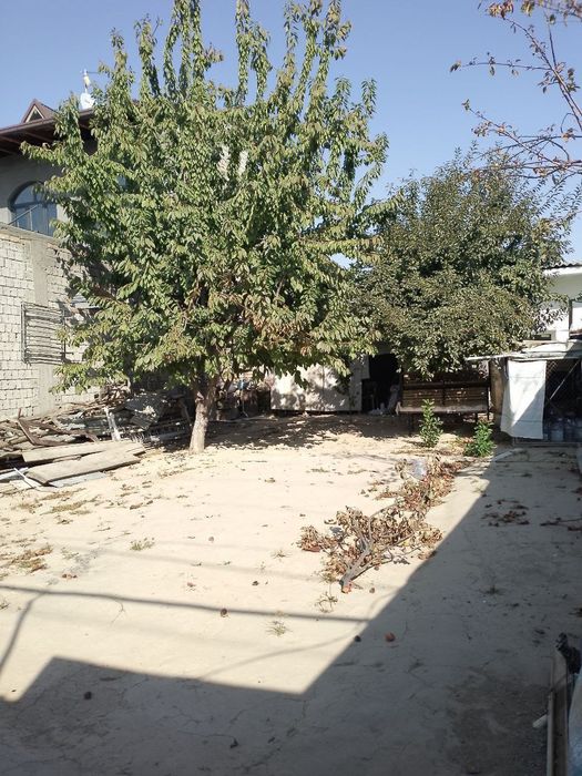 Koʻktere chaxpaleda 3-sutuk yer sotiladi