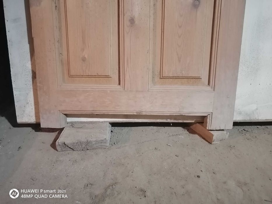 Эшик сосна дарахт