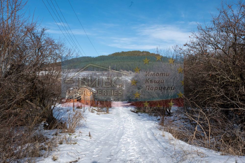 Къща с двор - 4177 м2 в с. Бабица