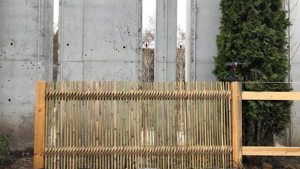 Продам бамбук !!!