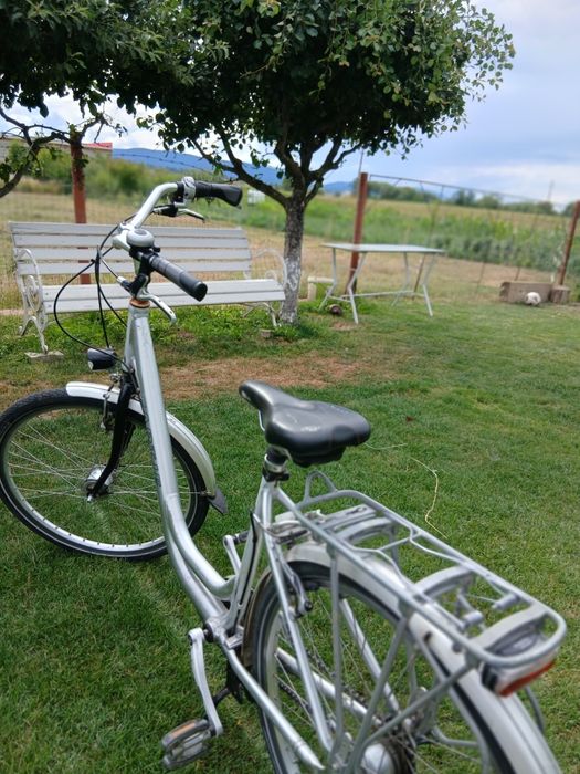 Bicicleta de dama