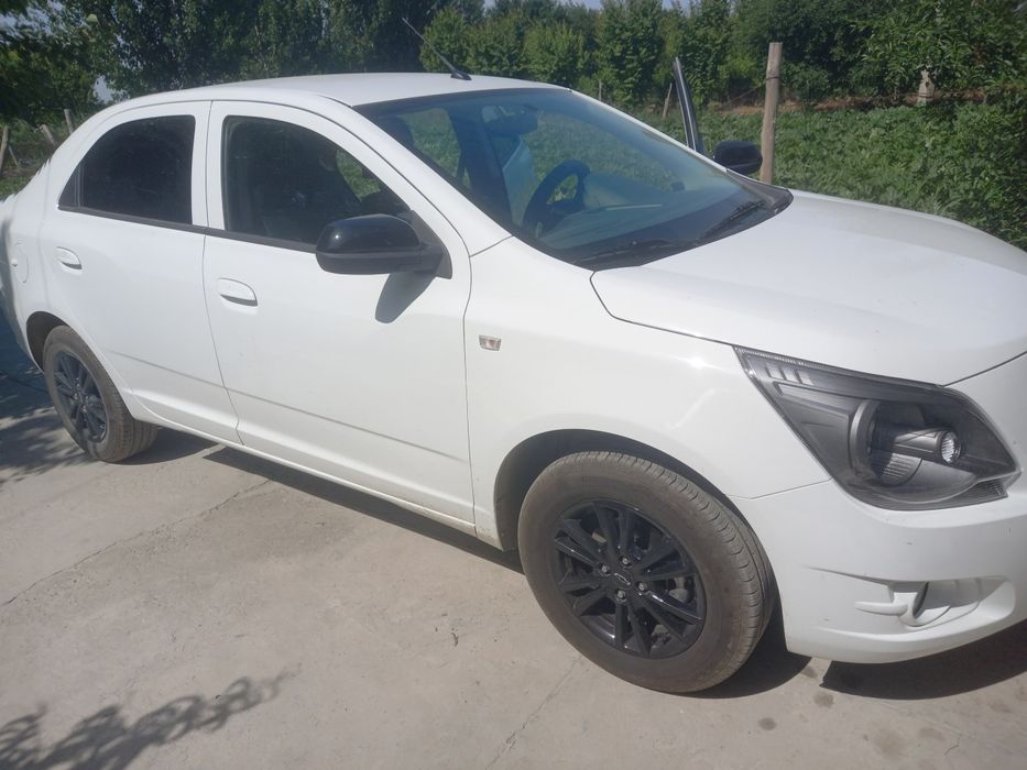 Cobalt  миднсйт мсм