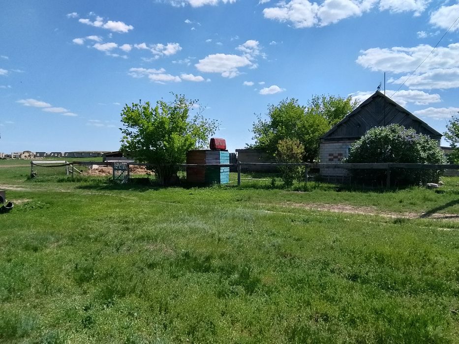 Ауылшаруашылық жер сатылады