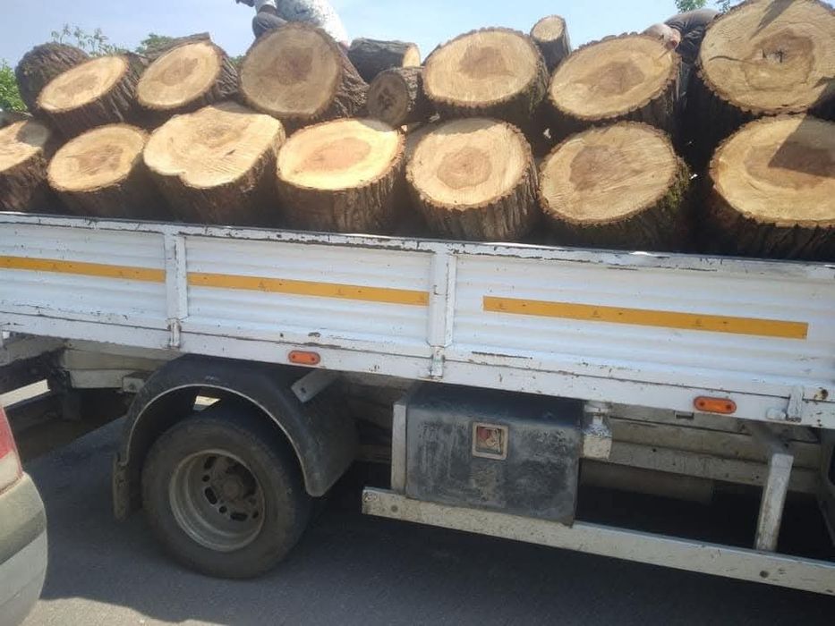 Lemne de foc Giurgiu și București