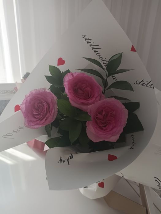 Продам цветы подаренные 12.04