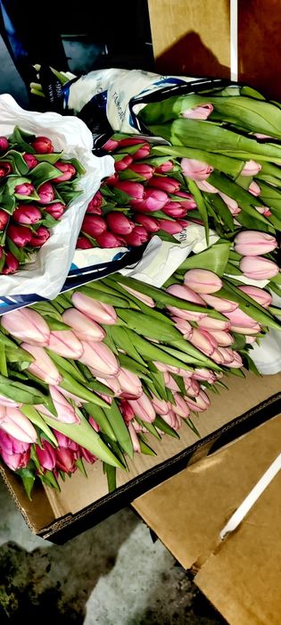 Тюльпаны, цветы, букеты на 8е марта