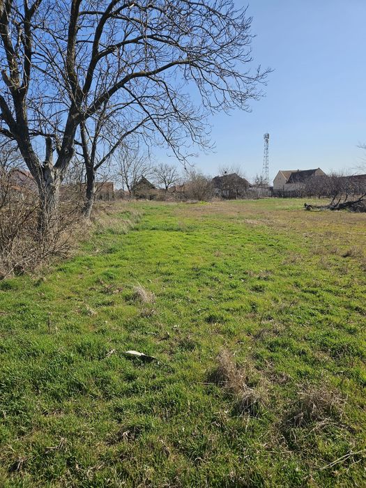 Vând casă nelocuibilă cu teren 2877 mp comlosul mare