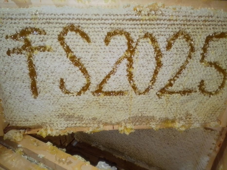 Miere poliflora ,albine