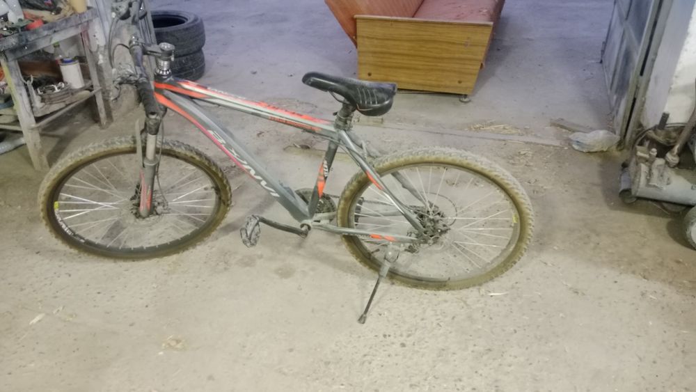 Velosiped skarasnoy