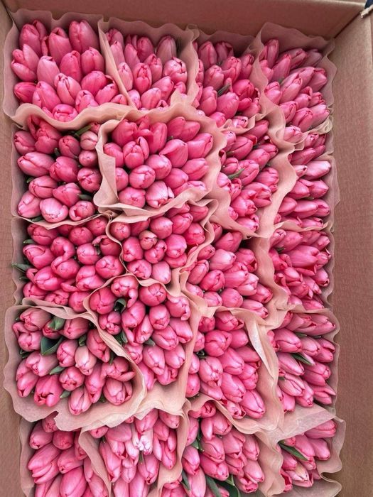 Оптом тюльпаны на продажу