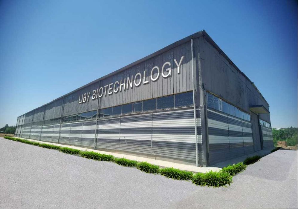 SYLVIA - Xitoy-O'zbekiston tozalik vositalari ishlab chiqaruvchi zavod