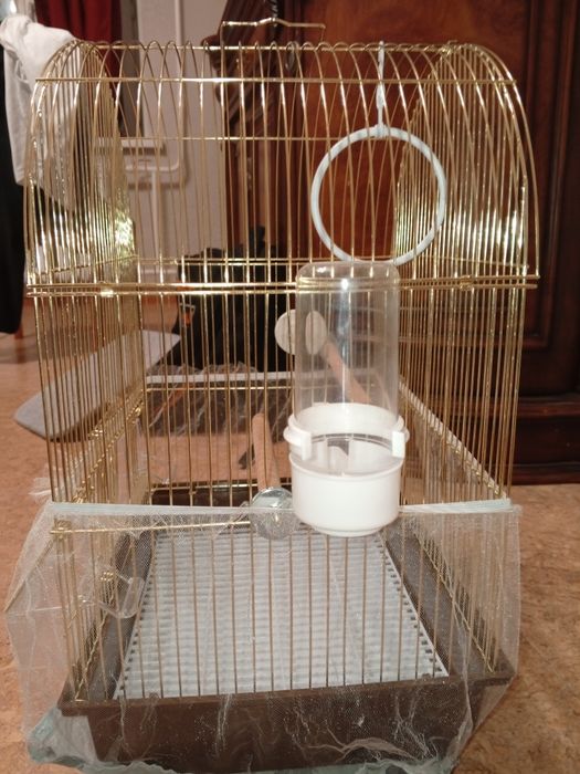 Клетка для попугаев