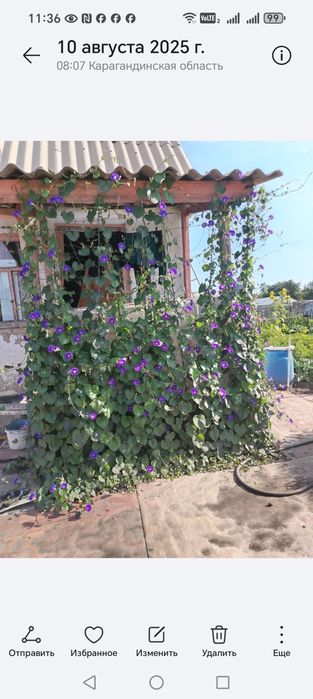 Продаётся дача  ПК "Черемушки"