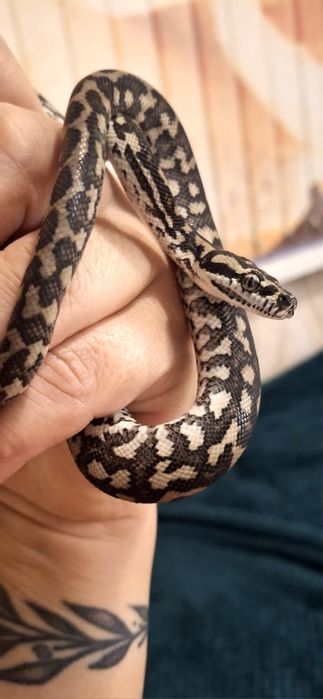 Продажа.продажа