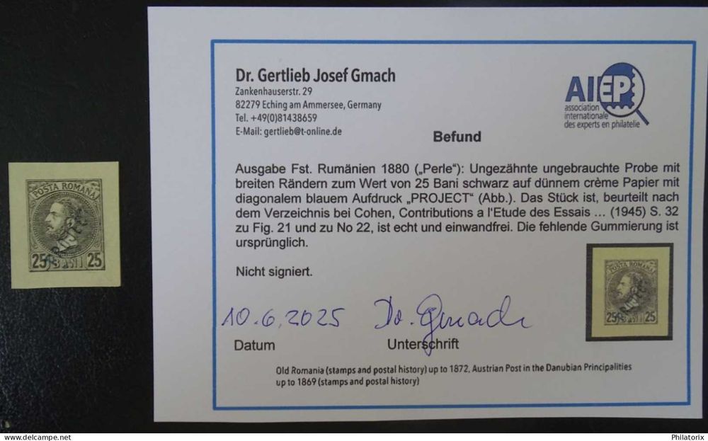 Romania Esseuri , Carol cu barba , Expertizat , NG/(*) (2)