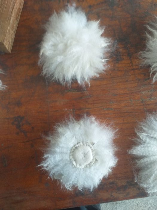 Продается скорпион