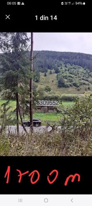 Bureți gratis fructe de pădure gratis peste gratis apa gratis