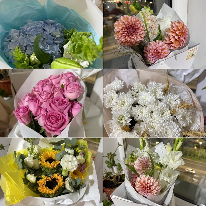 Продам  цветы разные