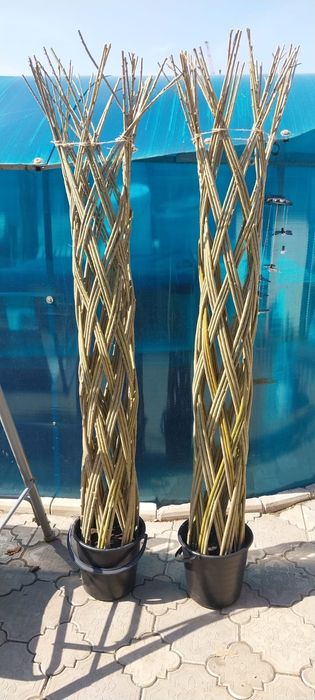 Плетеное дерево из ивы