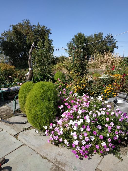 Продам дом в дачном массиве