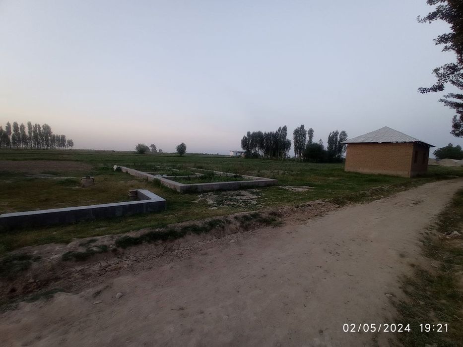 Yer uchaska betoni quyilgan gilos kochat ekilgan trassaga yaqin joyda