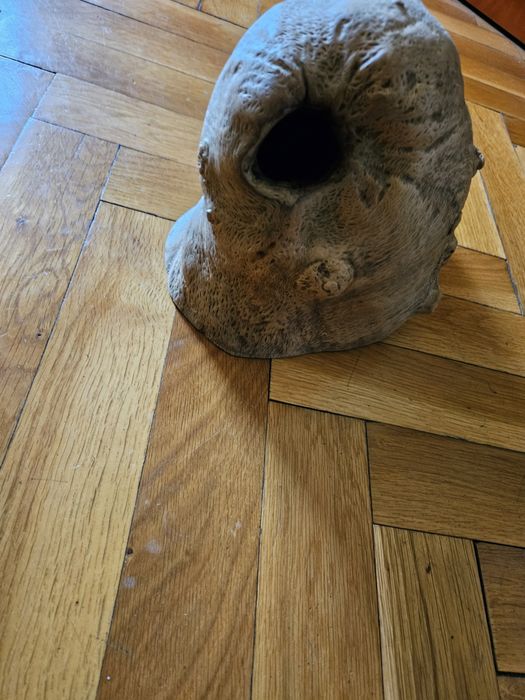 Декорация за дома и градината