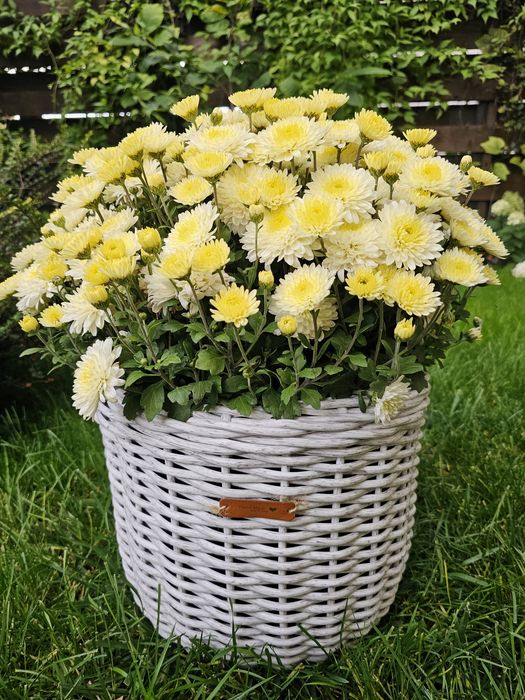 Ghiveci împletit din ratan sintetic, Handmade, volum 12 l