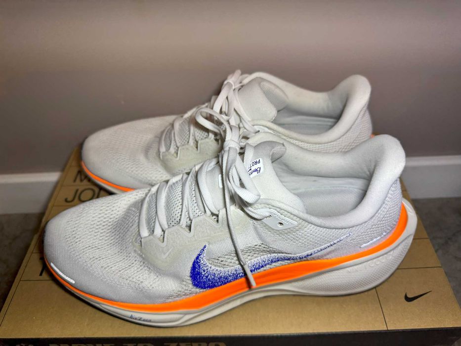 Nike Pegasus 41 Blueprint