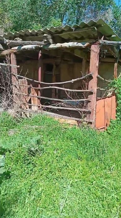 Дом с участком 25 соток