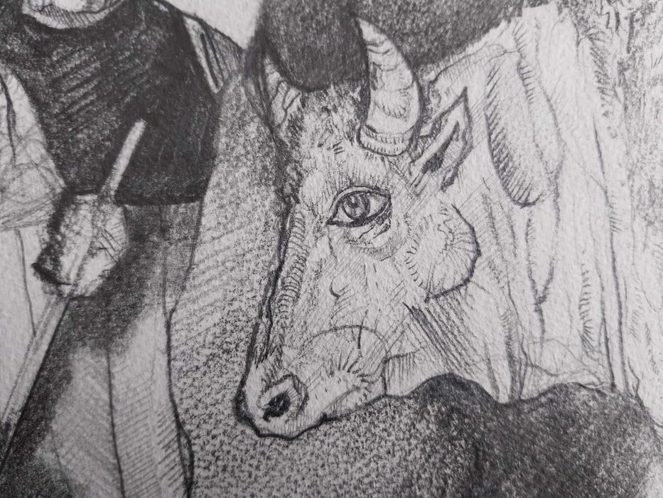 Прекрасна рисунка 38/55 см