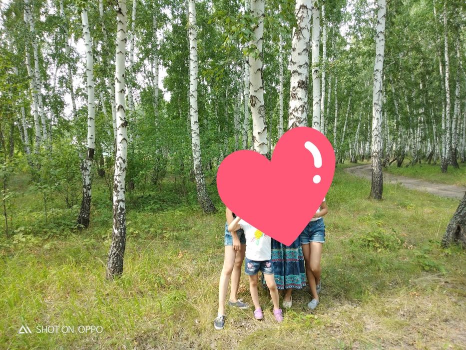 Продам дачу (Общество "Энергетик-2]