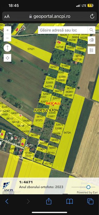 Teren intravilan 18000m2 Dascalu /direct proprietar