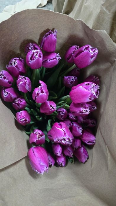 Тюльпаны оптом Алматы