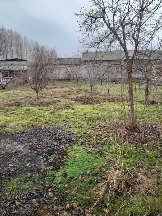 Участка 20 сотих